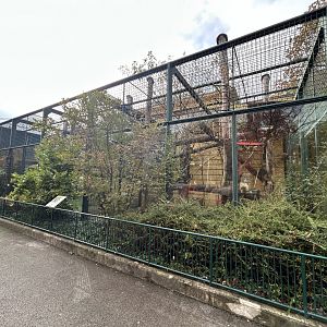 Colobus Monkey & Hanuman Langur Exhibits