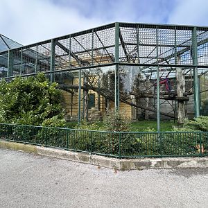 Chimpanzee Exhibit