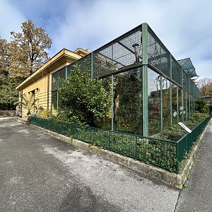 Black Howler Monkey Exhibit