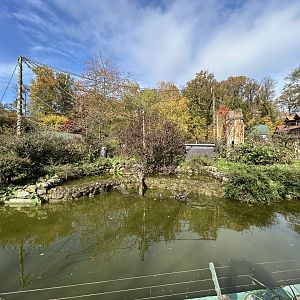 Brown Capuchin & Coati Exhibit