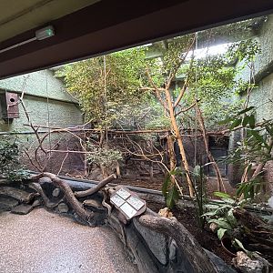Mixed-species Tropical Exhibit