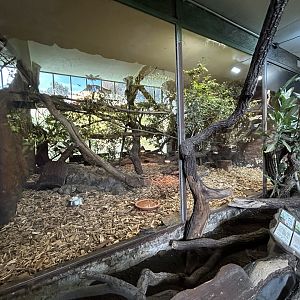 Night Monkey, Two-toed Sloth & Red-rumped Agouti Exhibit