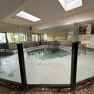 Indoor Pygmy Hippo Exhibit