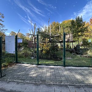 White-handed Gibbon & Small-clawed Otter Exhibit