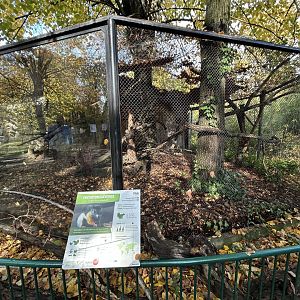 Prevost’s Squirrel Exhibit