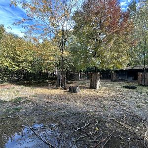 South American Tapir Exhibit