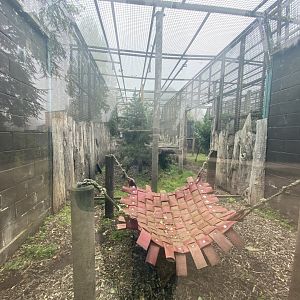 2nd part of Amur leopard enclosure