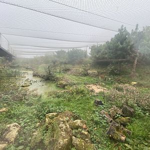 Snow leopard enclosure