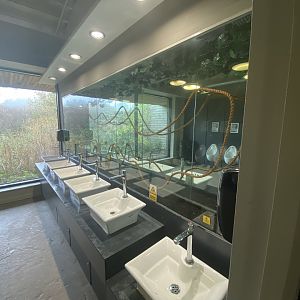 Leaf cutter ant exhibit