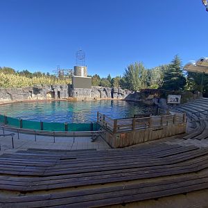 Cape fur seal and Californian sea lion enclosure