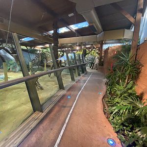 General view of crocodile house 1