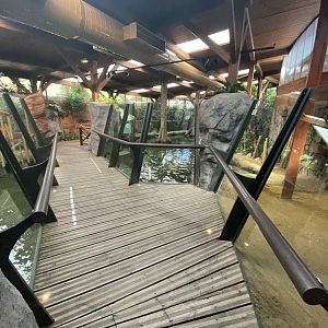 General view of crocodile houses 2