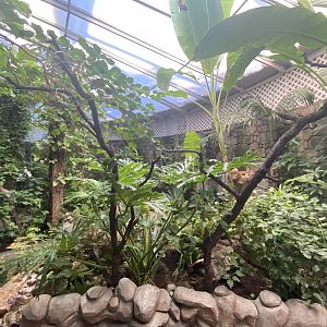 General view of butterfly walkthrough