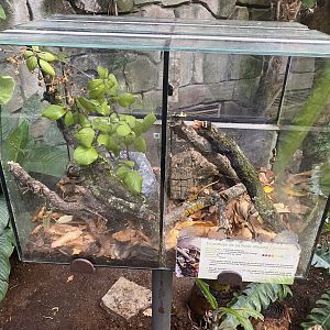 Sun beetle and unsigned exhibit