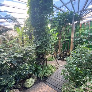 General view of butterfly house 2