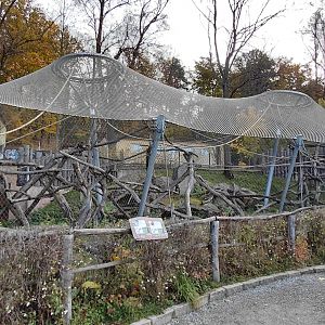 Lowe's monkey/colobus indoor exhibit