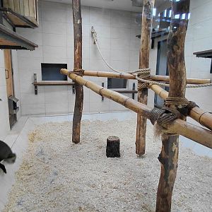 Lowe's monkey indoor exhibit