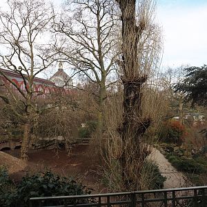 Sulawesi babirusa exhibit and walkway from the aquarium to the reptile house, 2024-03-09