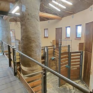 Giraffe indoor exhibit