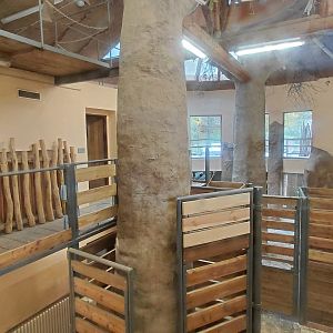 Giraffe indoor exhibit