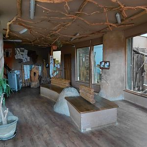 Inside the African house