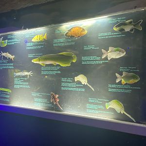 South American aquarium signage