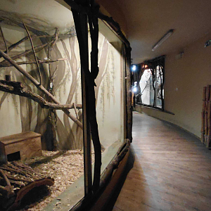 African house - nocturnal section