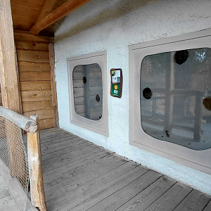 Blue duiker exhibit - viewing area
