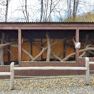 Geoffroy's cat exhibit #1