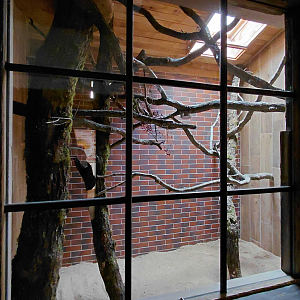 Galah indoor exhibit