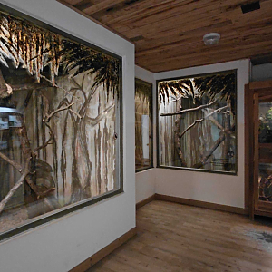 Australian farm - nocturnal section