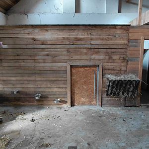 Pademelon + wallaroo indoor exhibit