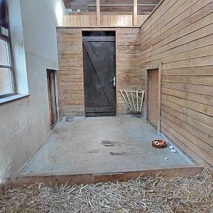 Pademelon + wallaroo indoor exhibit