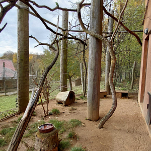 Swift parrot + potoroo outdoor exhibit