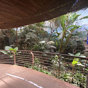 South American enclosure