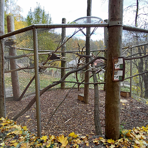 Brushtail possum + bettong outdoor exhibit