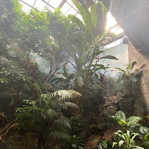 2nd ground view of open South American enclosure