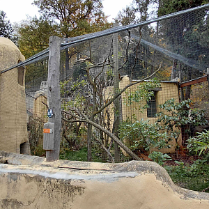 Kookaburra + pheasant aviary