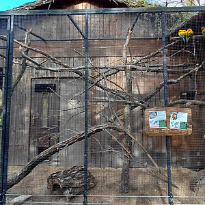 Mara + parakeet outdoor exhibit