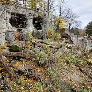 Sun bear outdoor exhibit