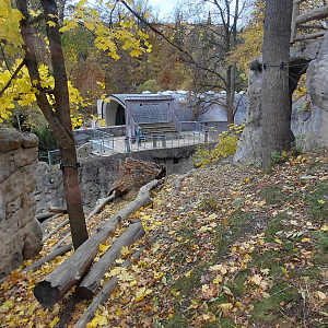 Sun bear outdoor exhibit