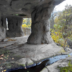 Sun bear outdoor exhibit