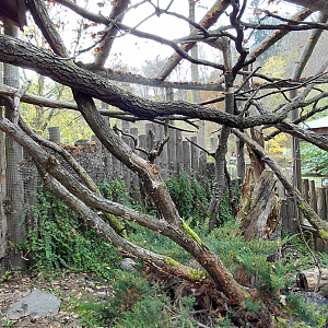 Night monkey + paca outdoor exhibit