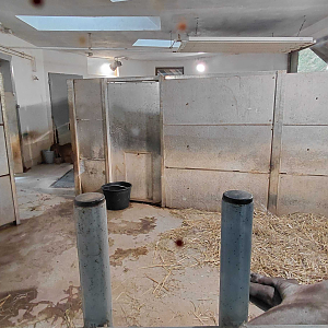 Tapir + capybara indoor exhibit