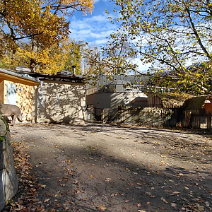 Tapir + capybara paddock