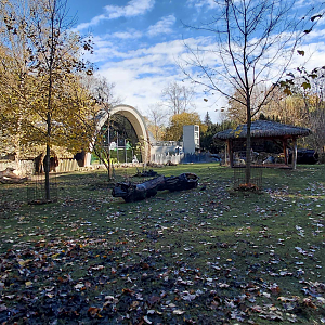 Tapir + capybara outdoor exhibit