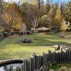 Tapir + capybara outdoor exhibit
