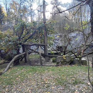 Snow leopard outdoor exhibit #2