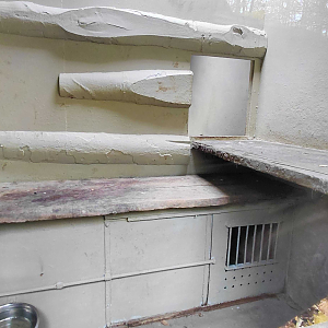 Snow leopard indoor exhibit #2