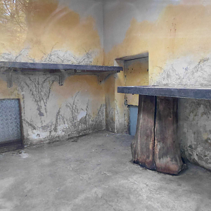 Persian leopard exhibit